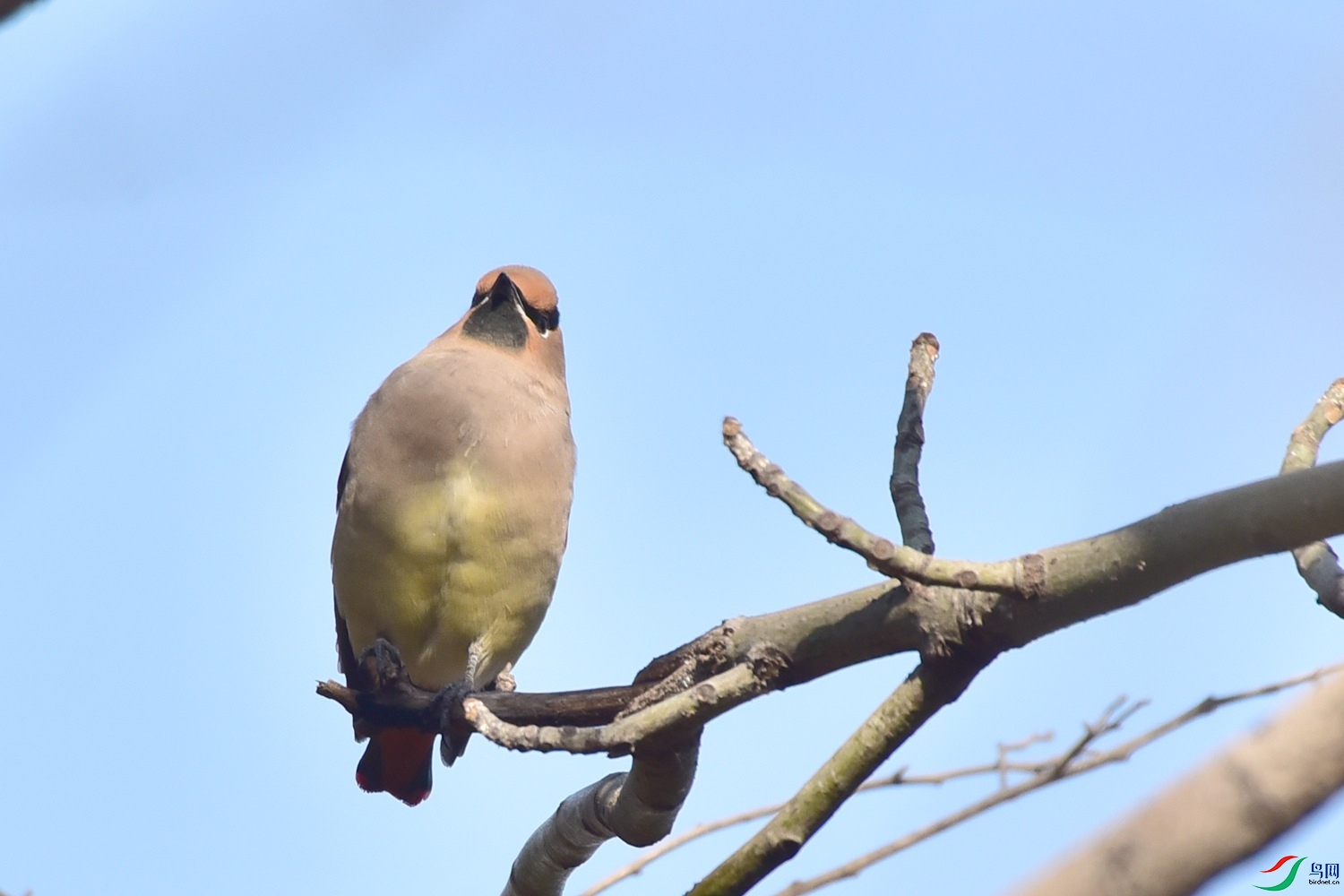 DSC_8246.JPG
