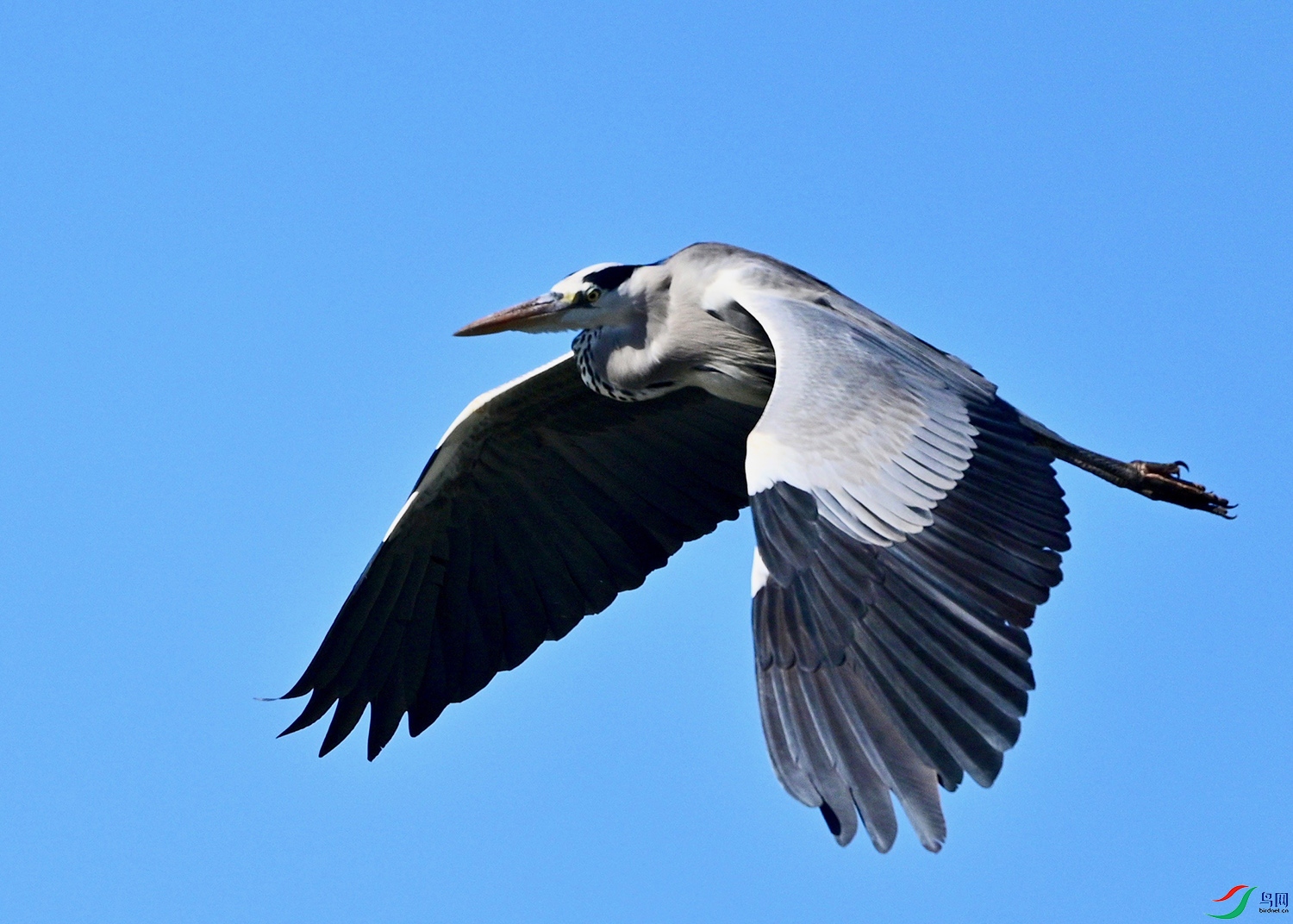 DSC_5201.jpg