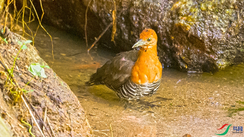 ��LPY_6471.jpg