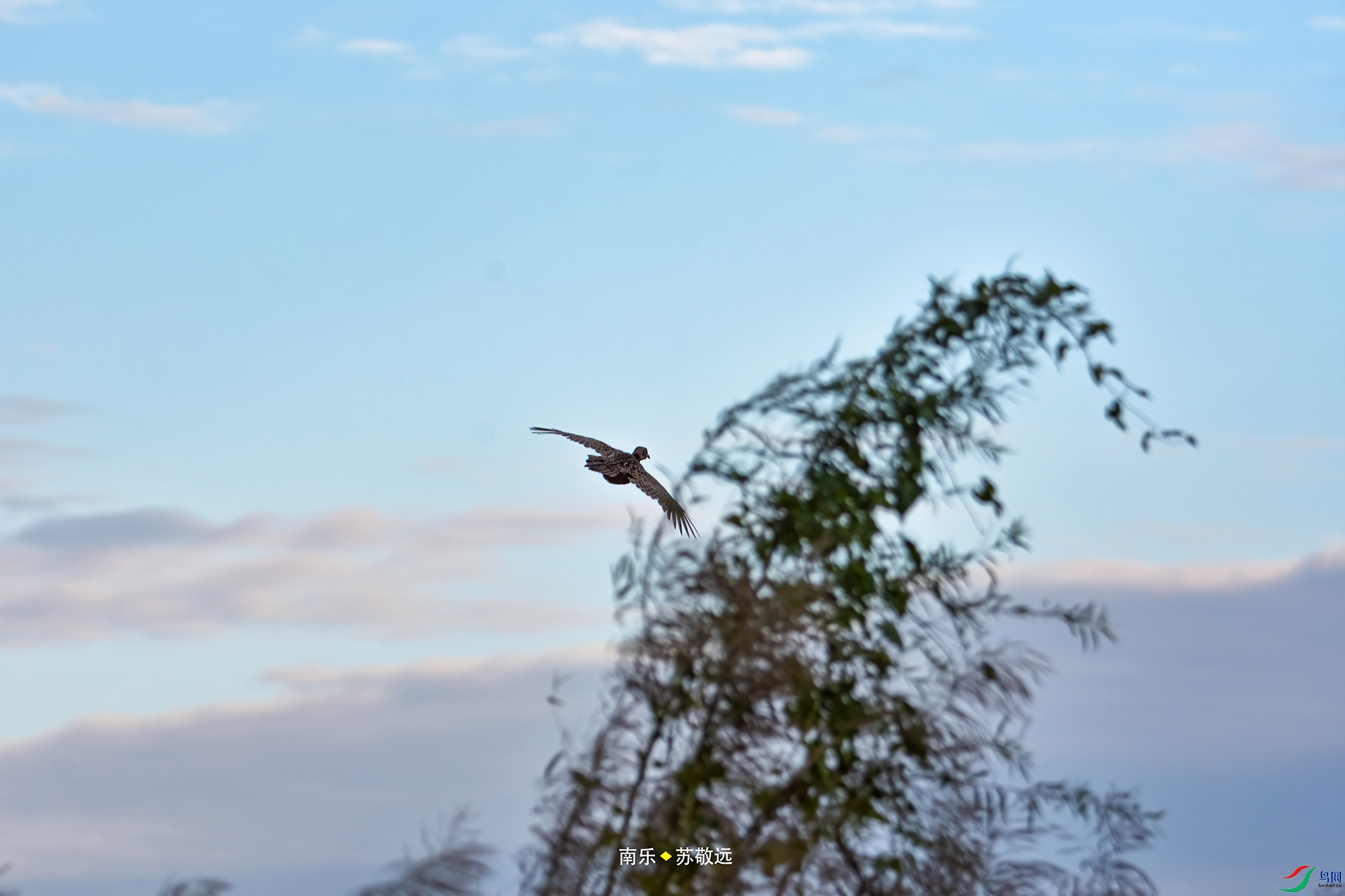_DSC6776С.jpg