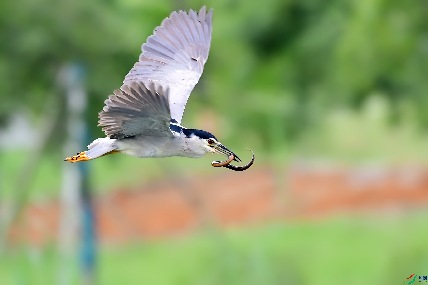 DSC_4549.jpg