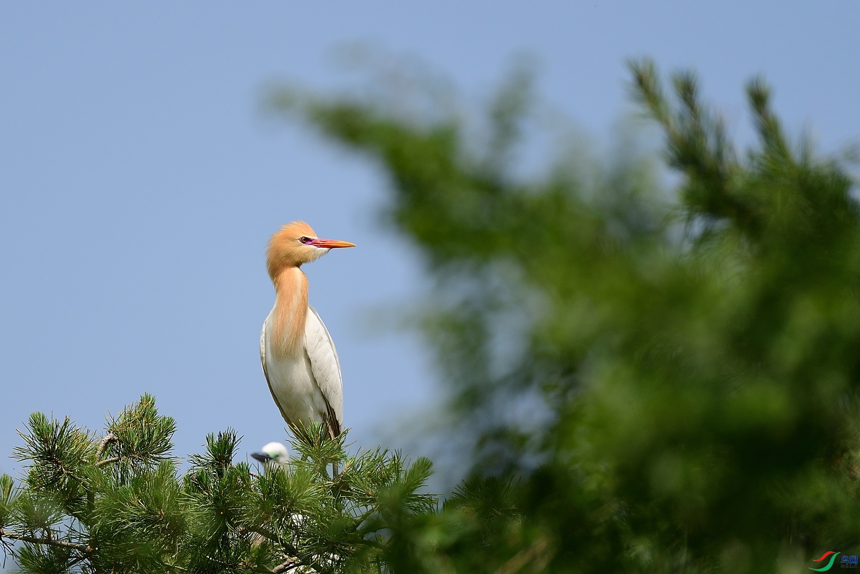 DSC_2856_00001.jpg