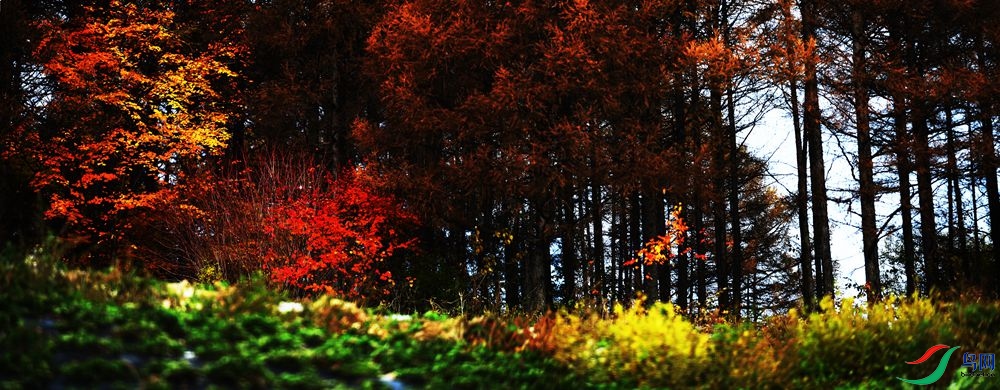 ��ͼ3 2708-2709_����.jpg