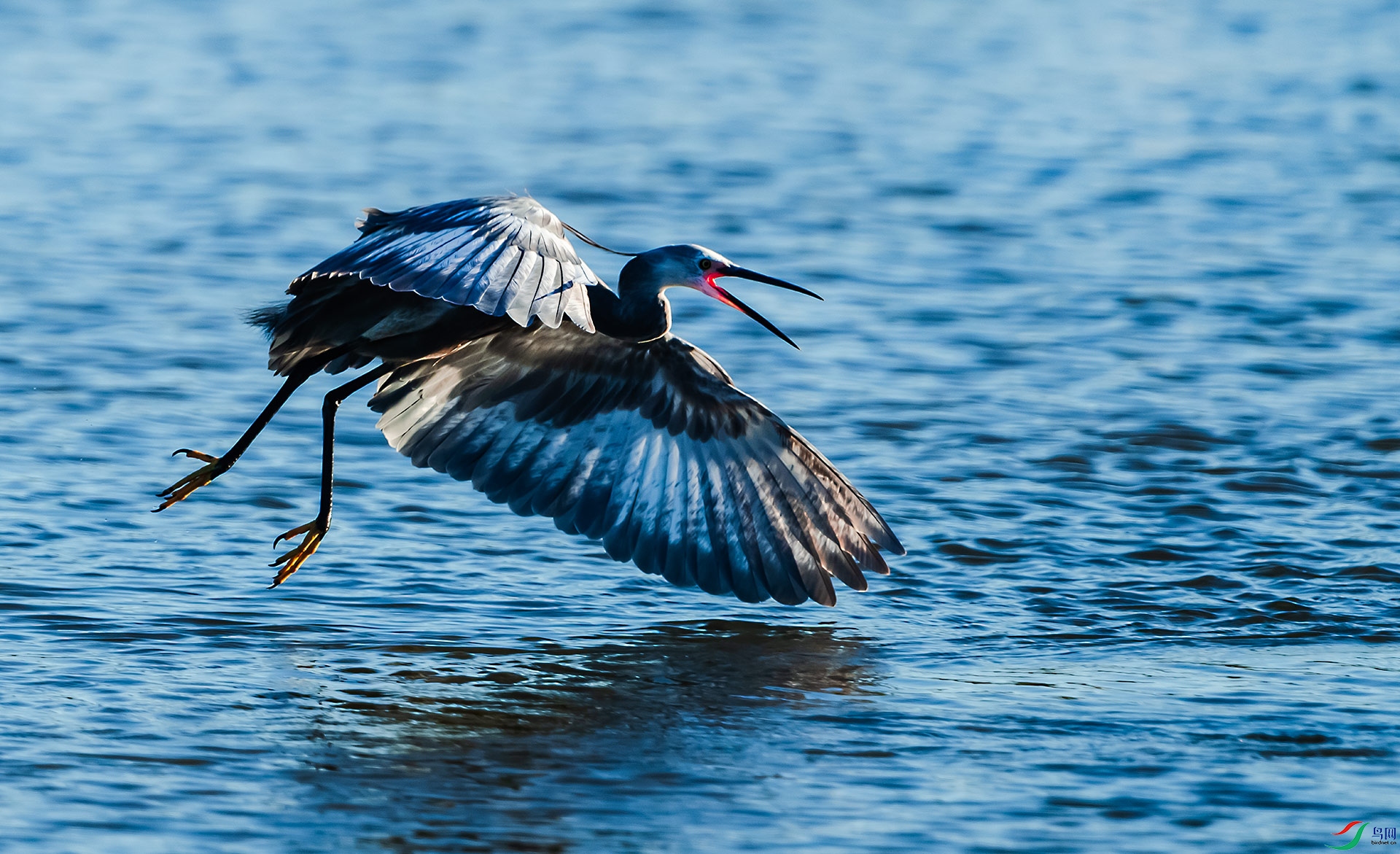 DSC_3359.jpg