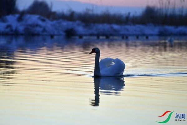 File0000079546.jpg