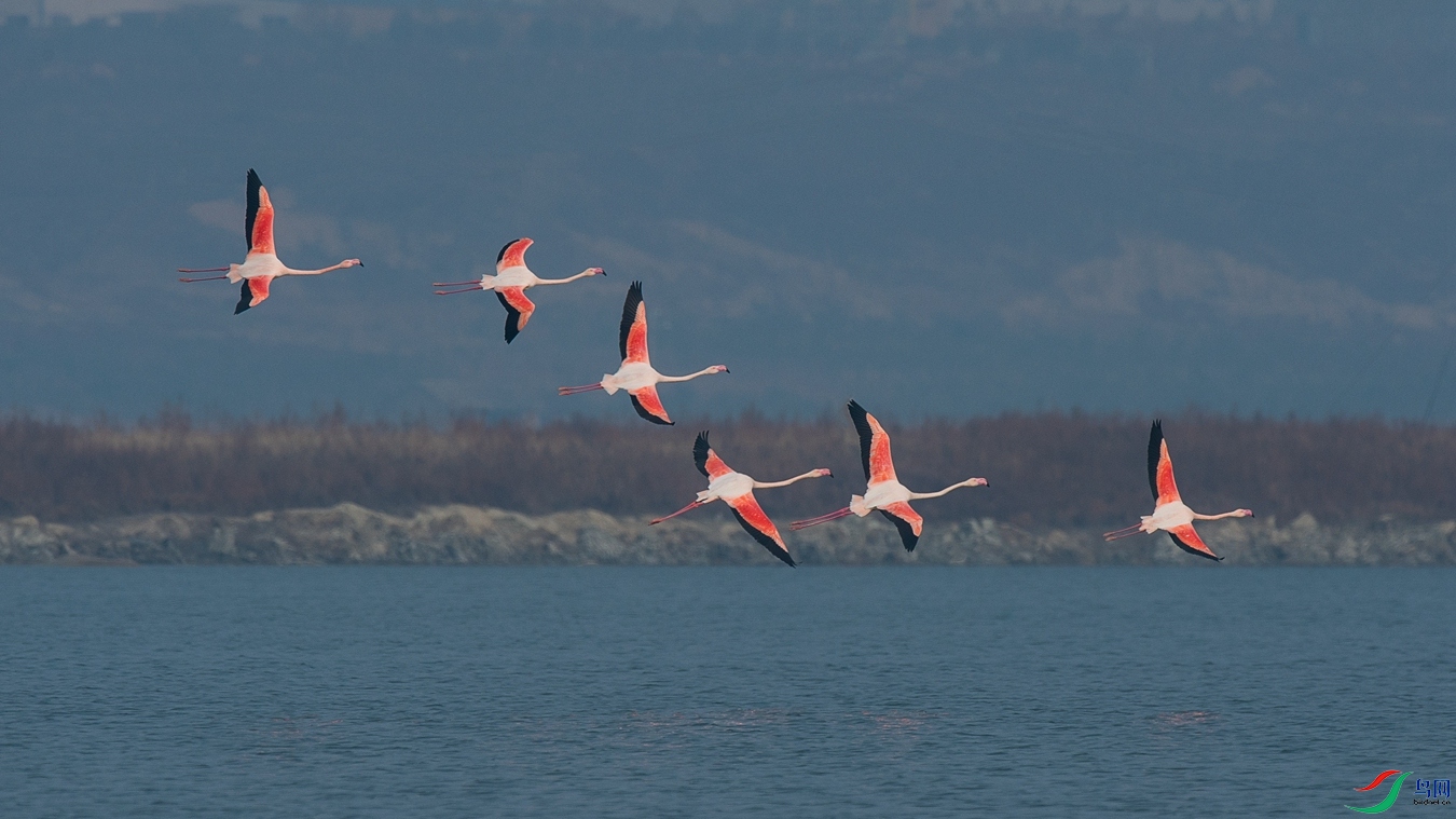 XCG_9805 - ����.jpg