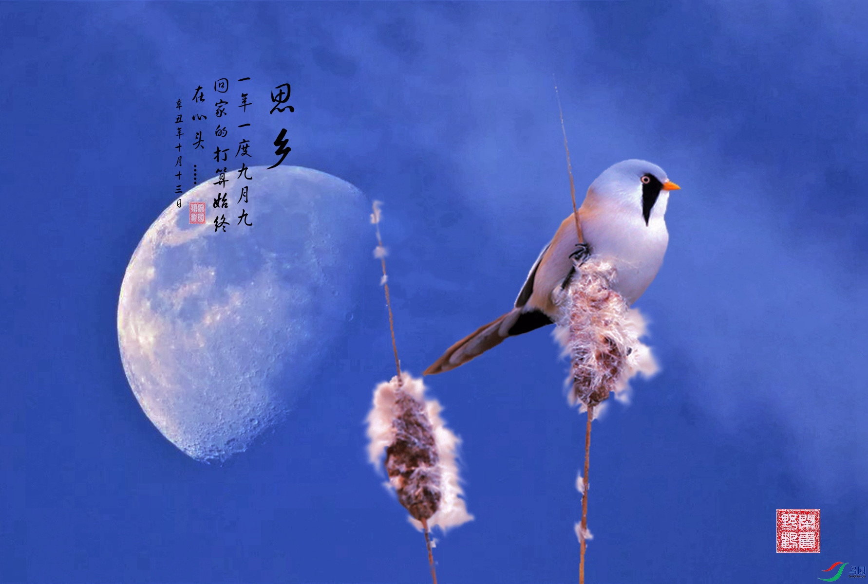 �峿.jpg