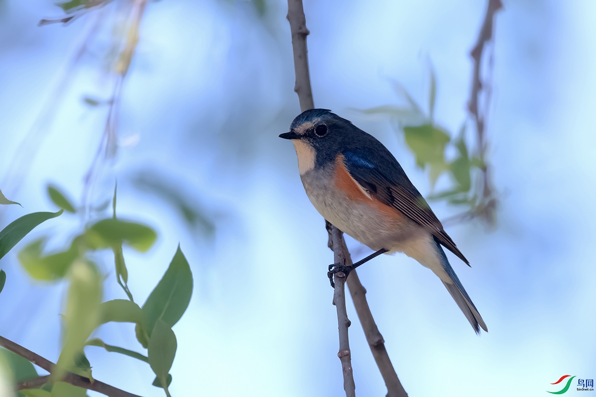 DSC_1763_DxOa.jpg