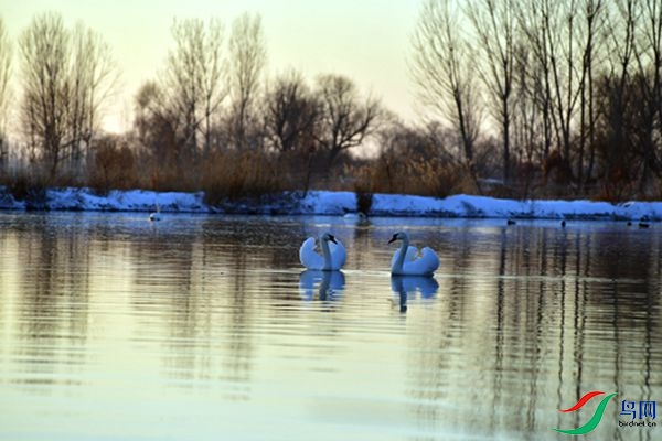 File0000079434.jpg