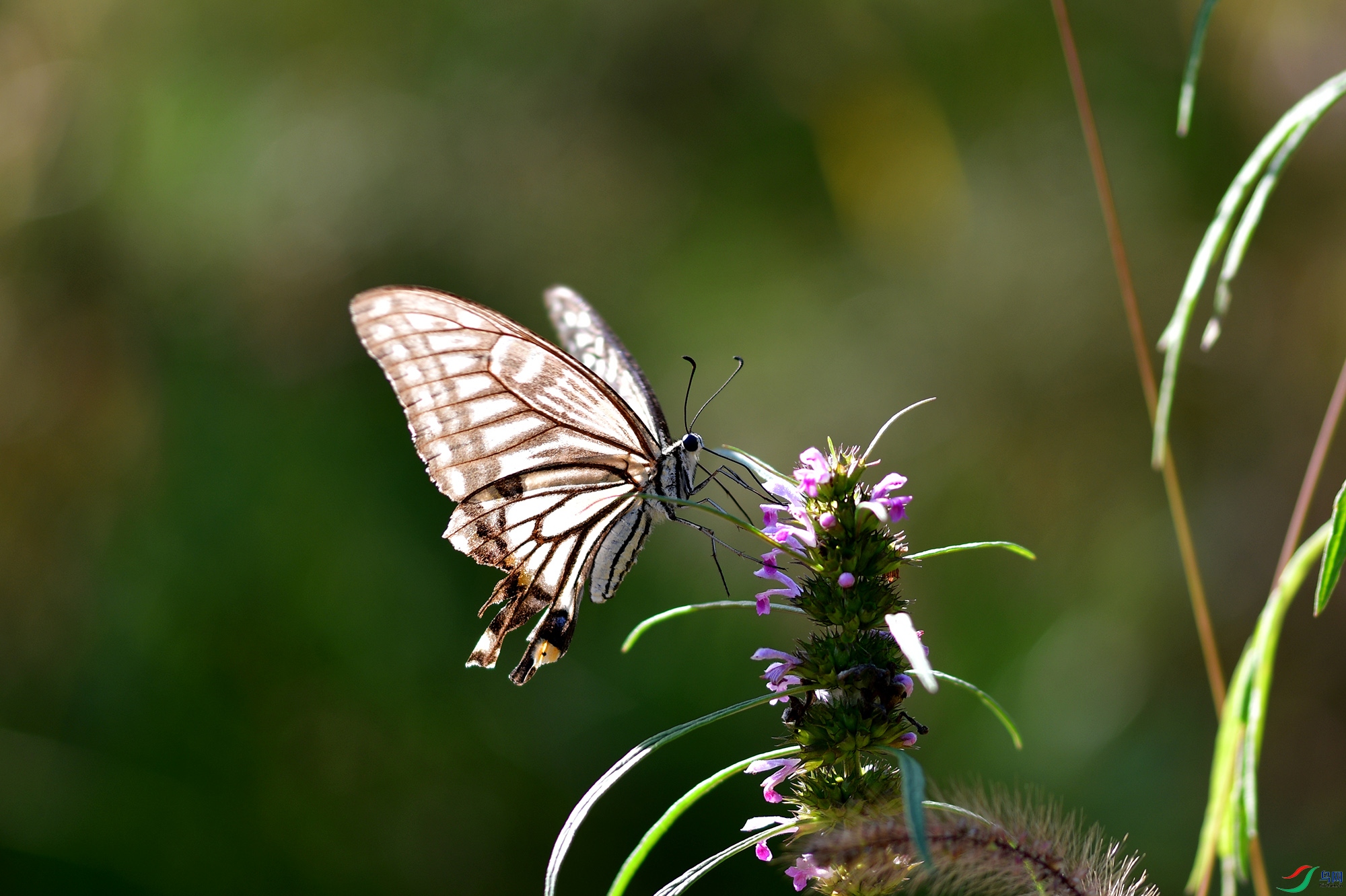 DSC_8140.jpg