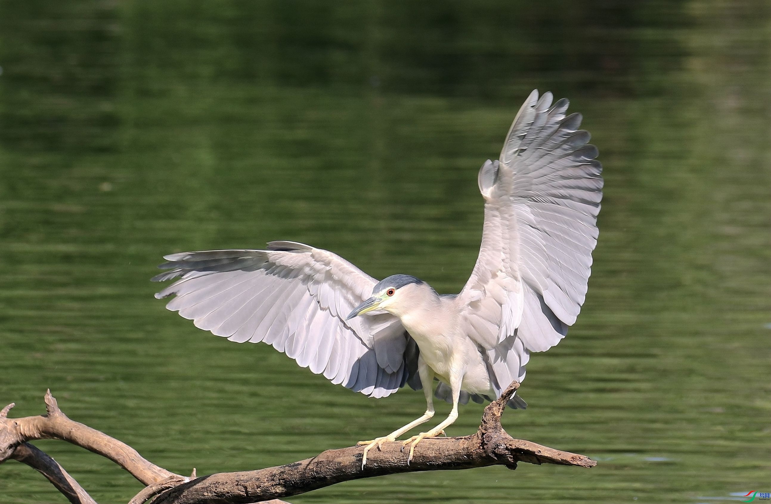 ������չ��1U4A0316_����.jpg