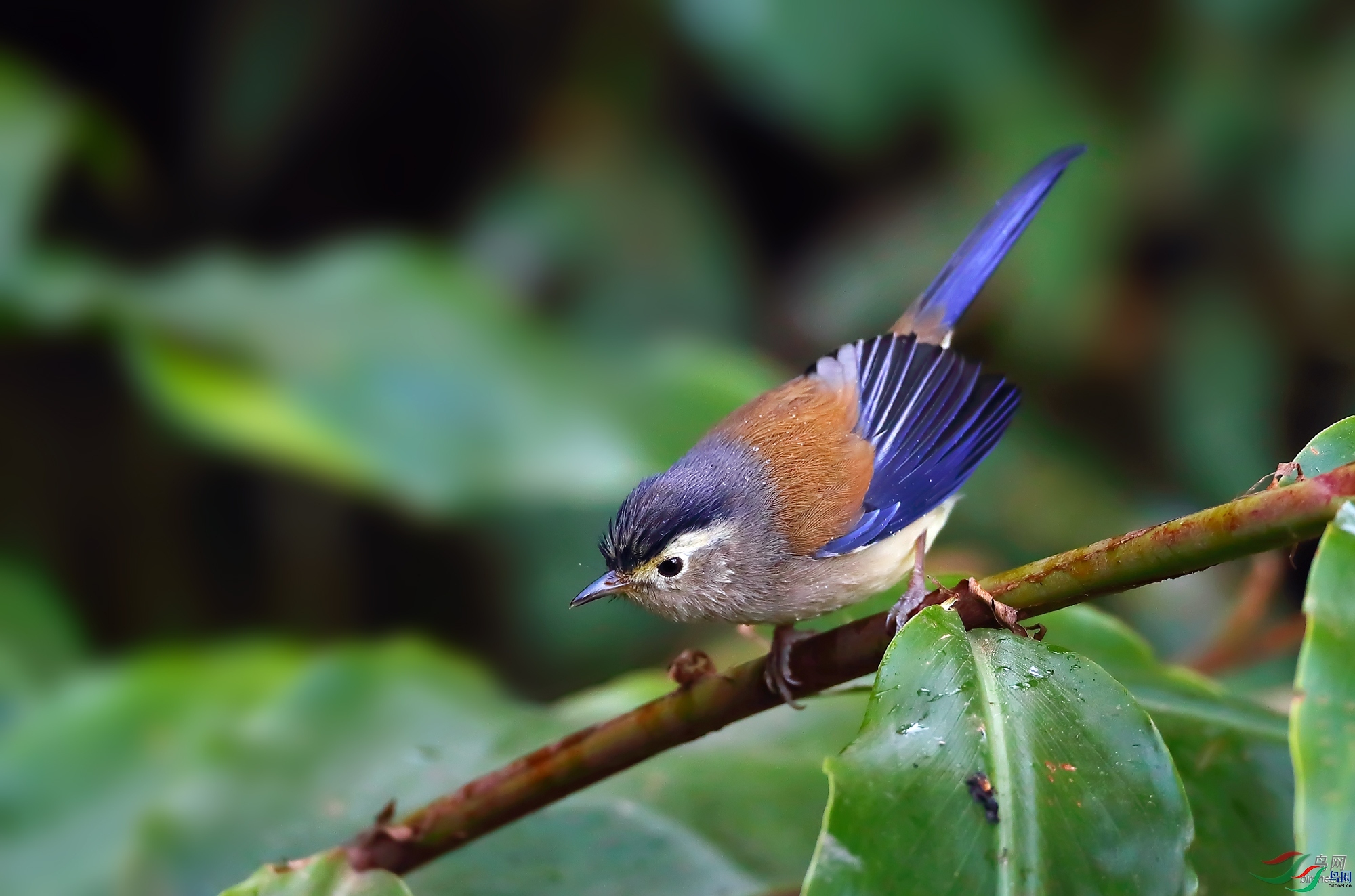 �����������  ��ʦ����������ʡ��ɽ���ڳ���.jpg