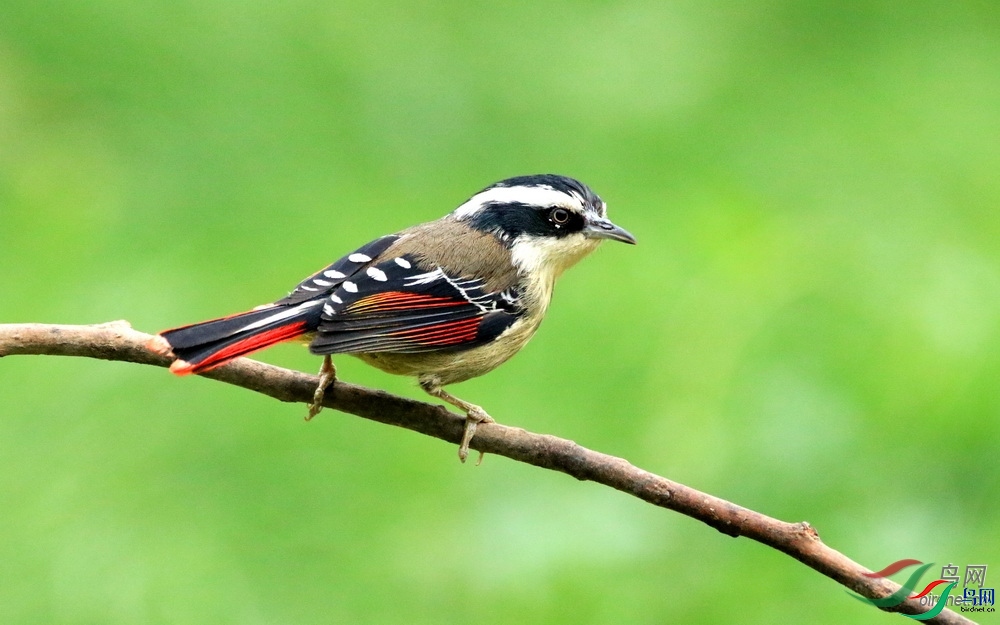 ����777  ��ʦ����.jpg