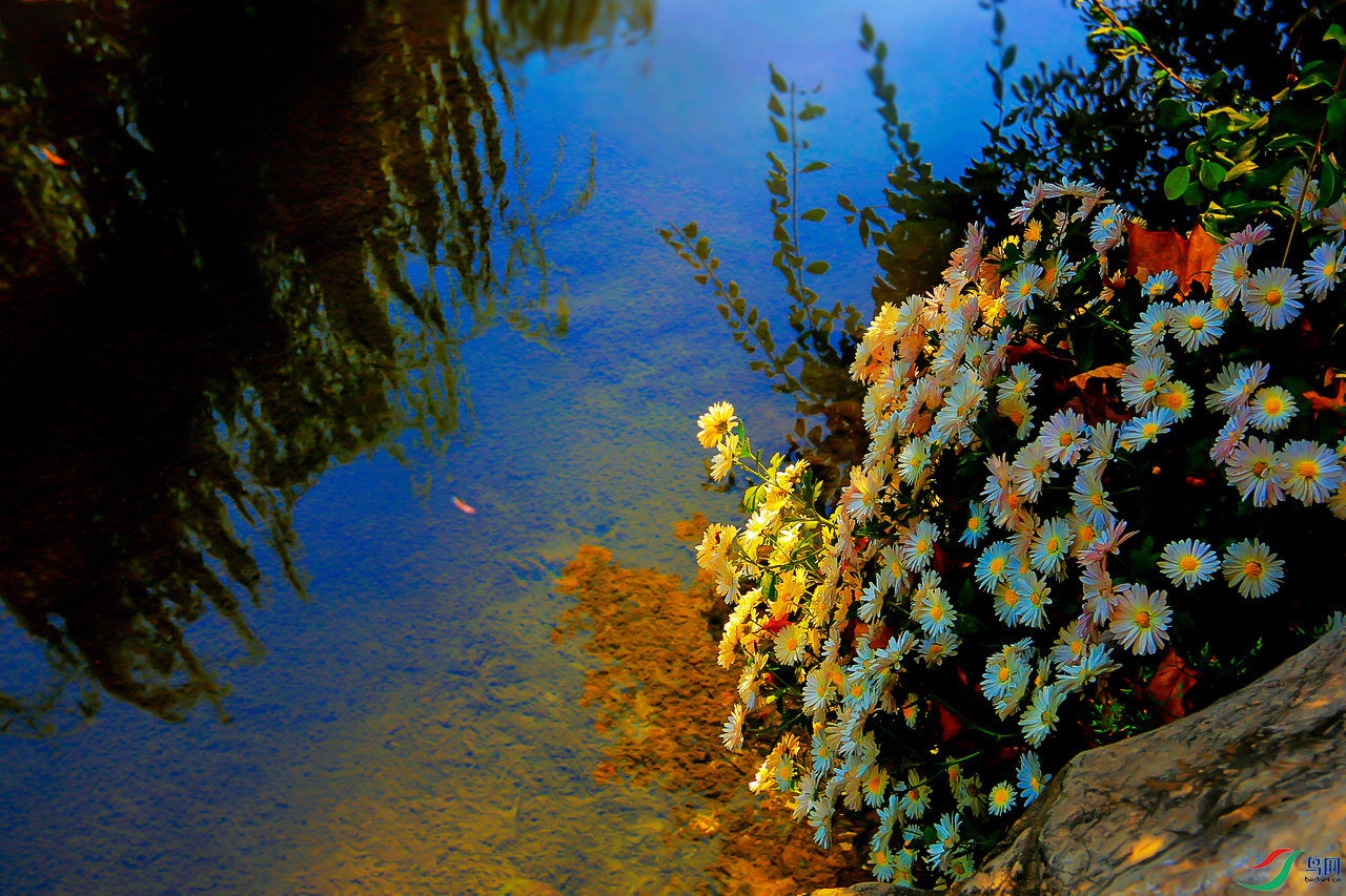 TX0A7590.jpg