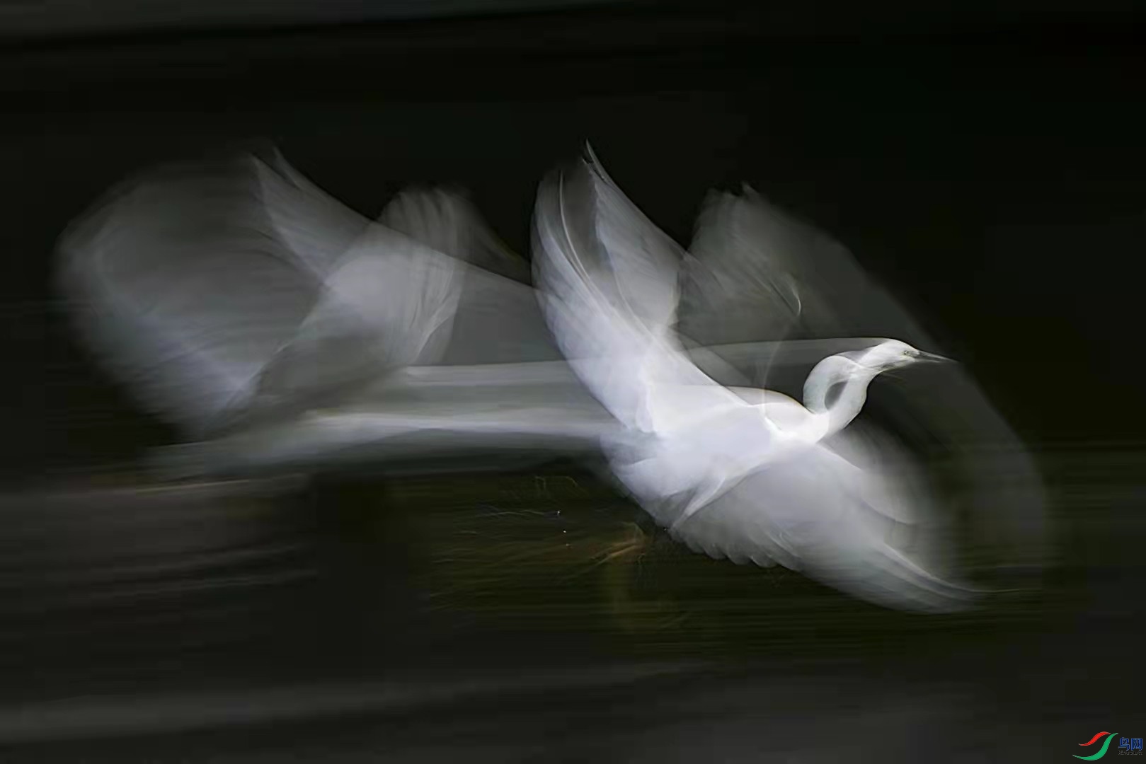 ��������-2