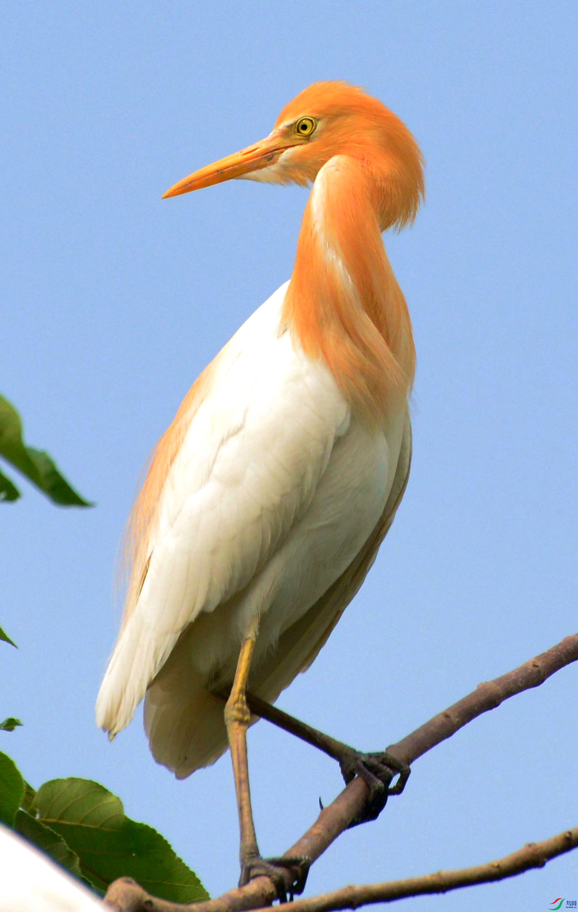 DSC_4274.JPG