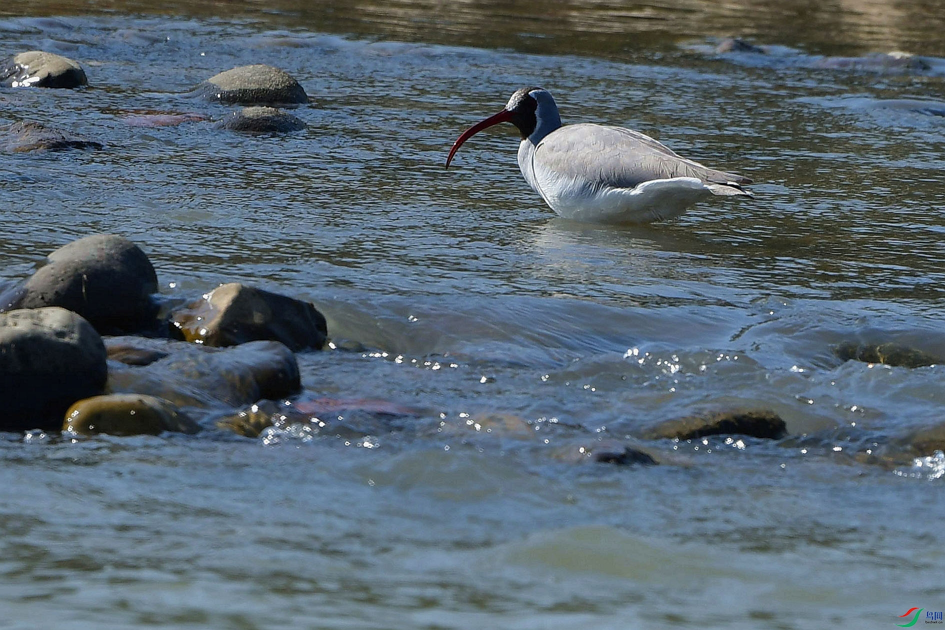 DSC_6147_����.jpg