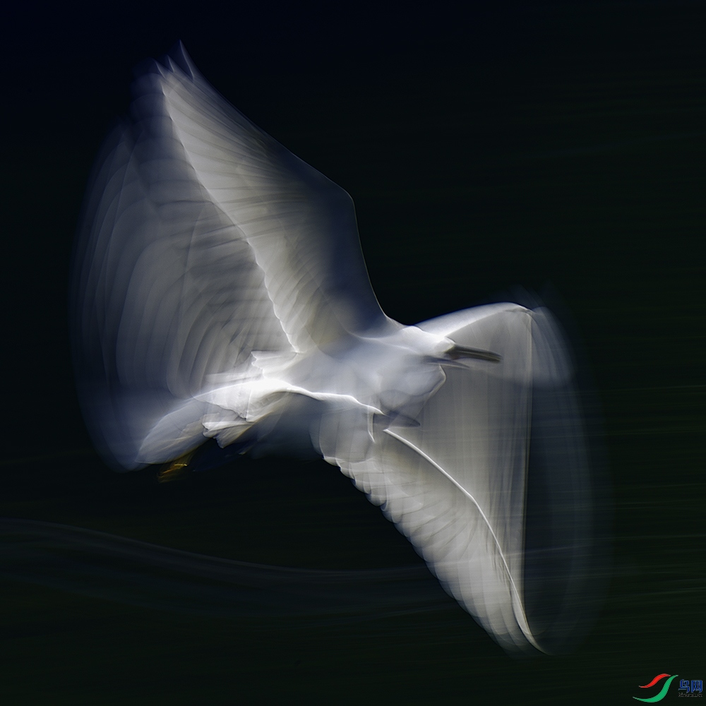 _ADS2236_00001.jpg
