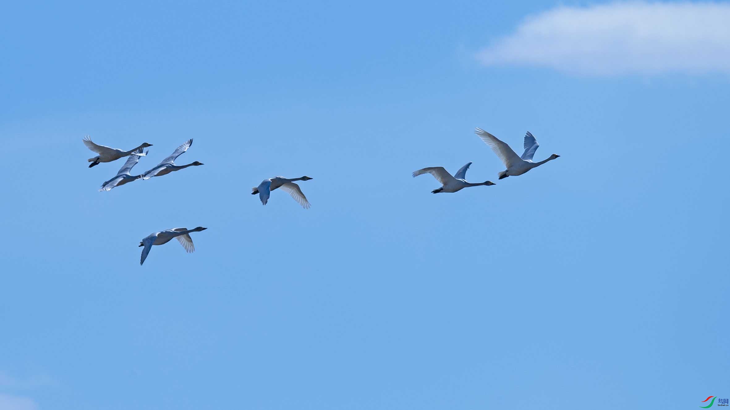 DSC_2576-3 - ���� (2).jpg