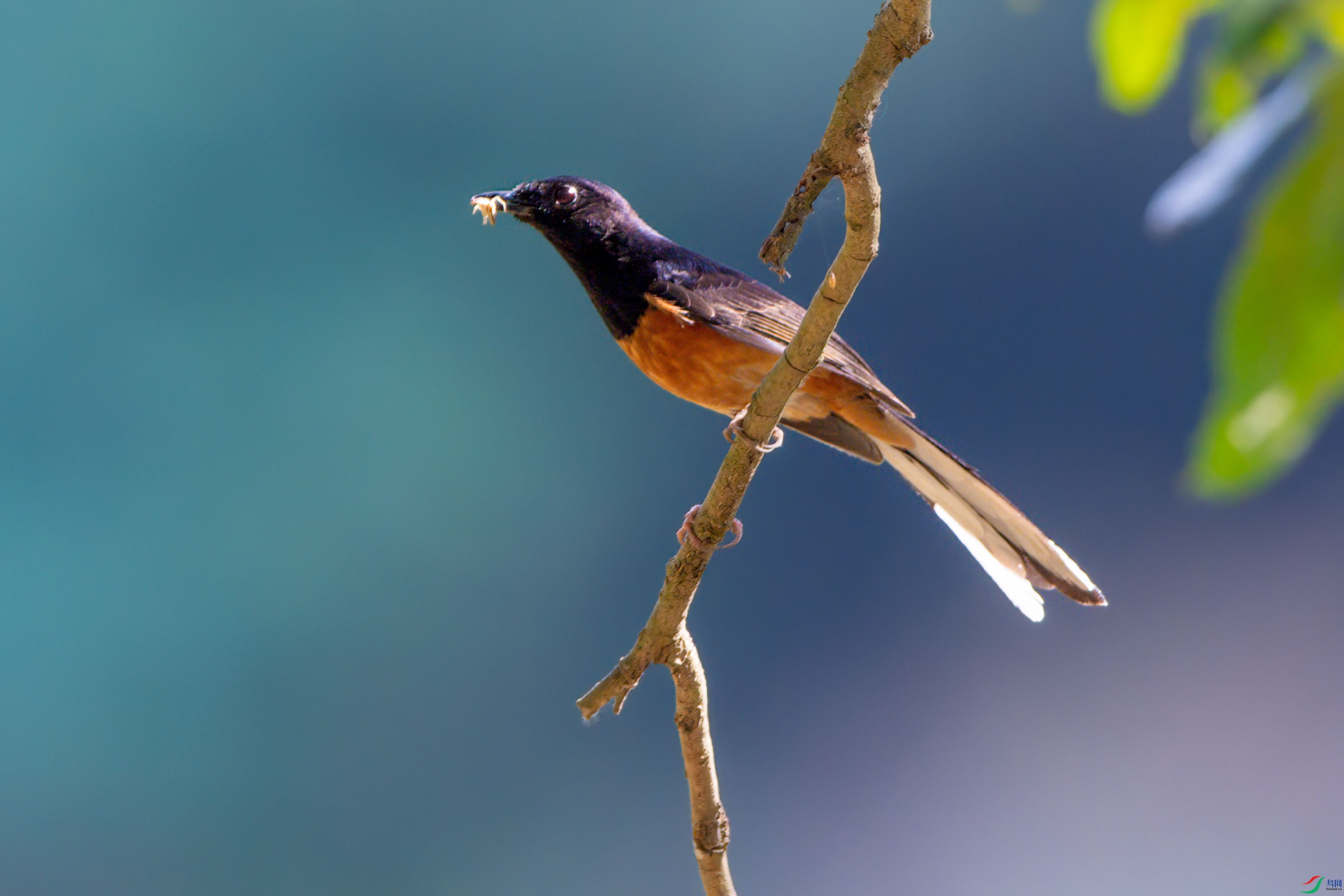 DSC_2044.jpg