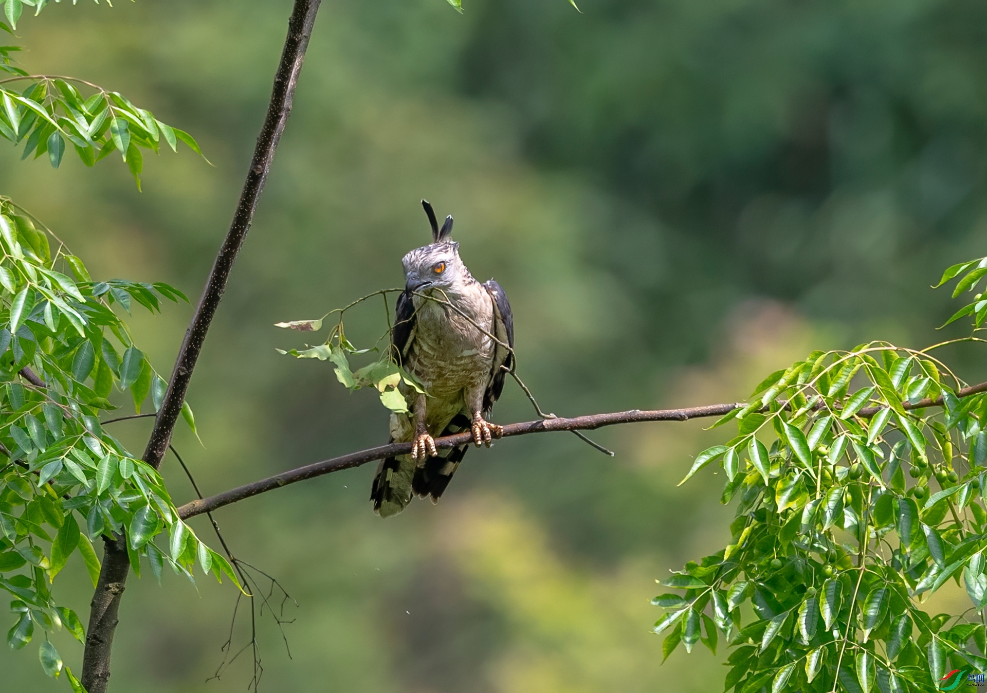 DSC_5728_����.jpg