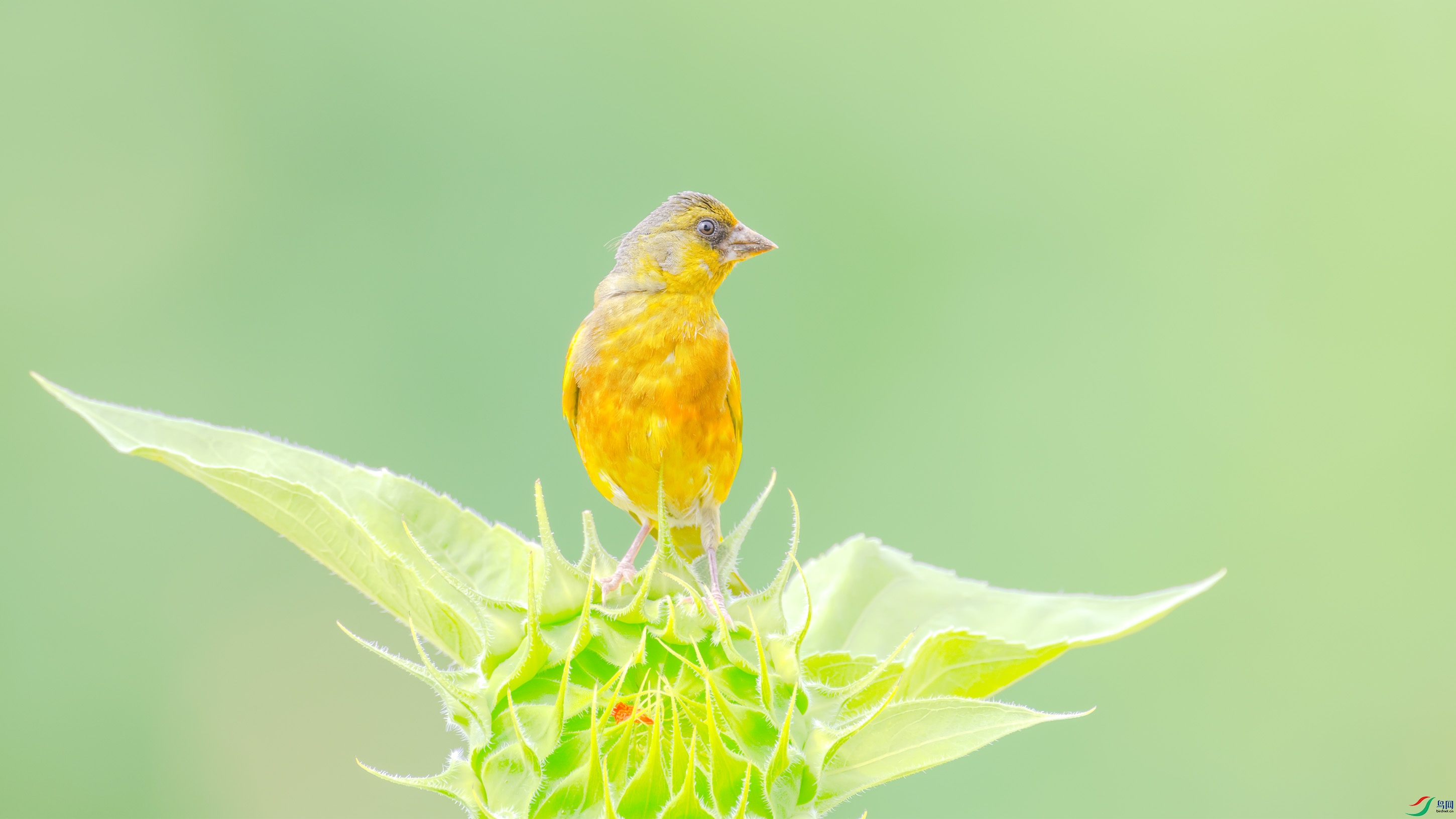 _DSC7772_DxO.jpg