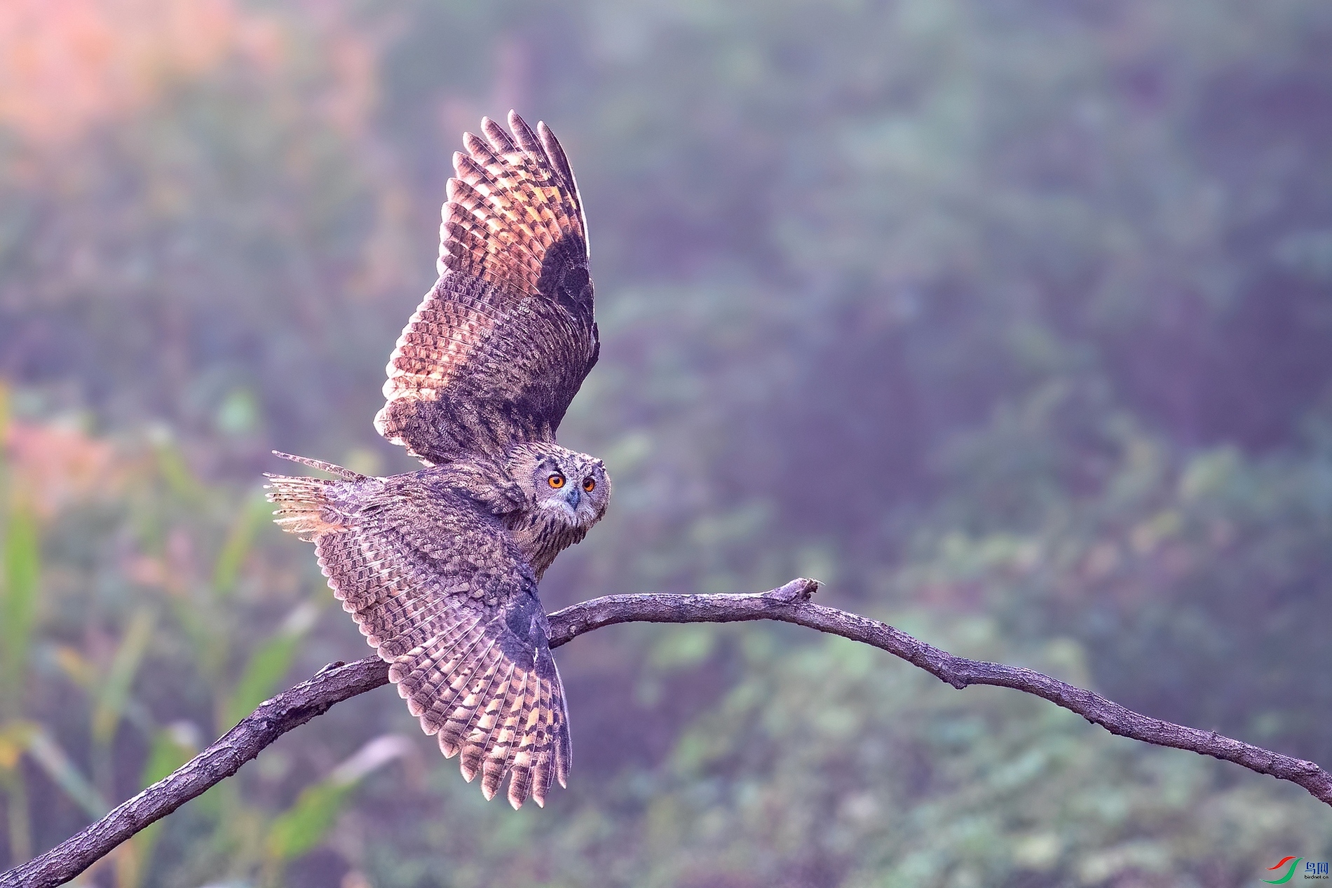 ��Ƭ1DSC_8083.jpg