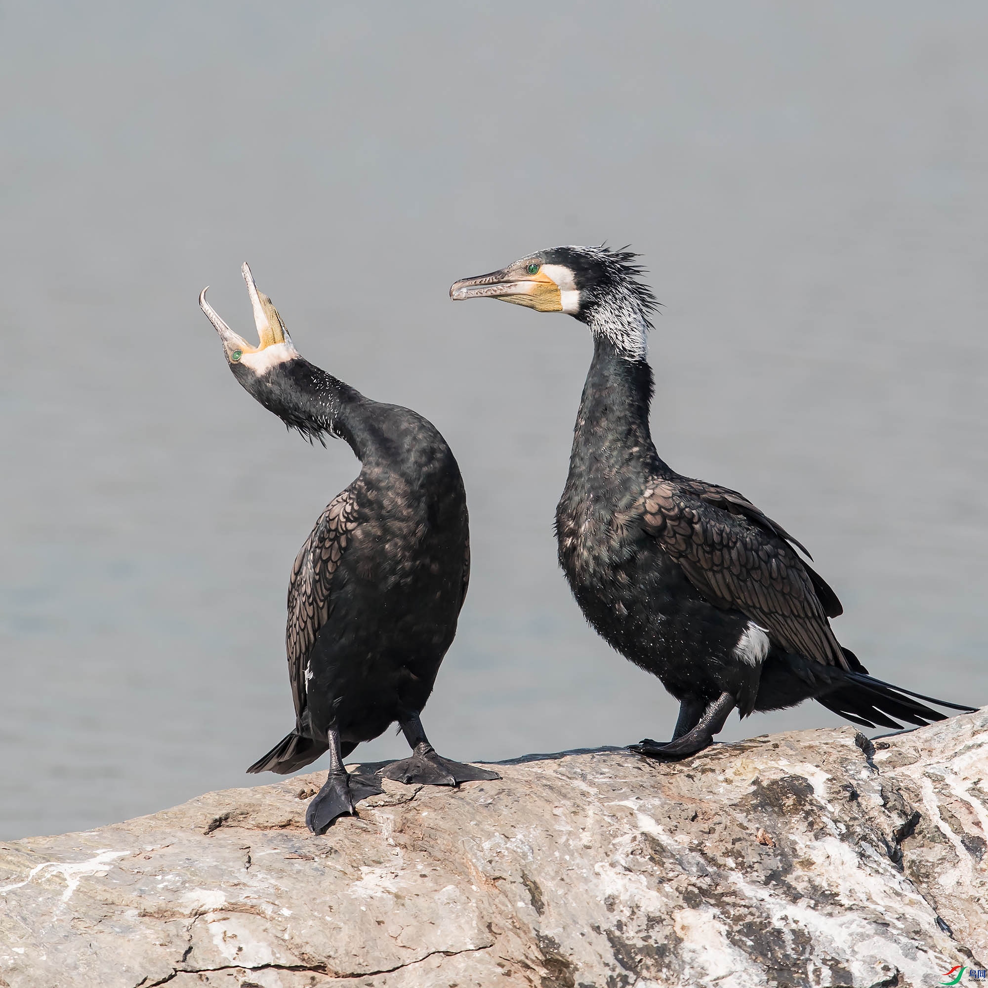 AR2I9787.psd-1.jpg