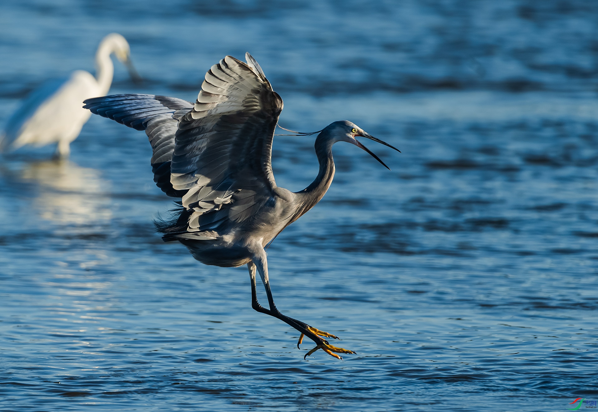 DSC_3439.jpg