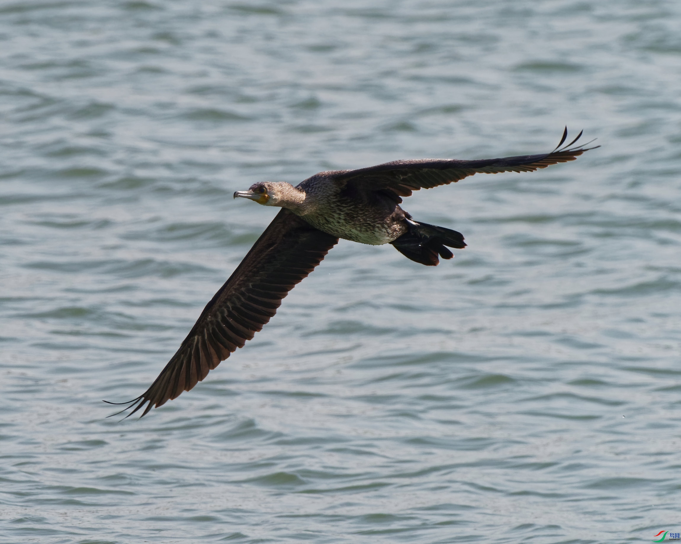 PB180013_DxO-d2.jpg
