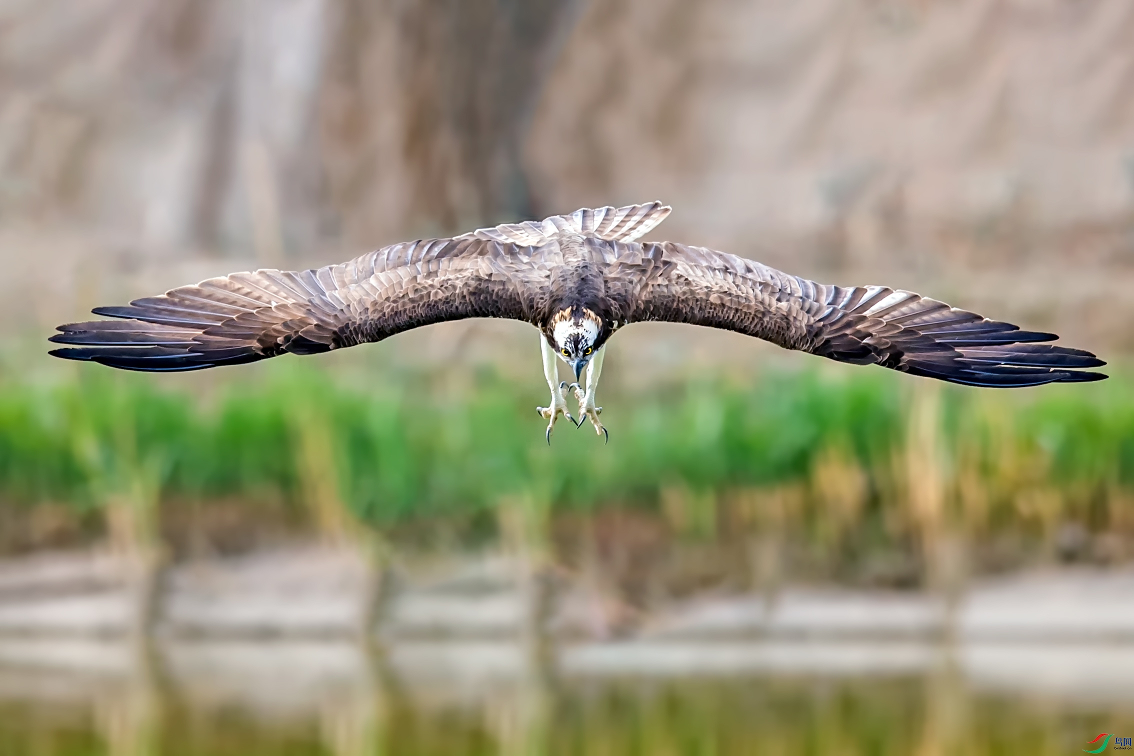_DSC7882_��ͼ��.jpg