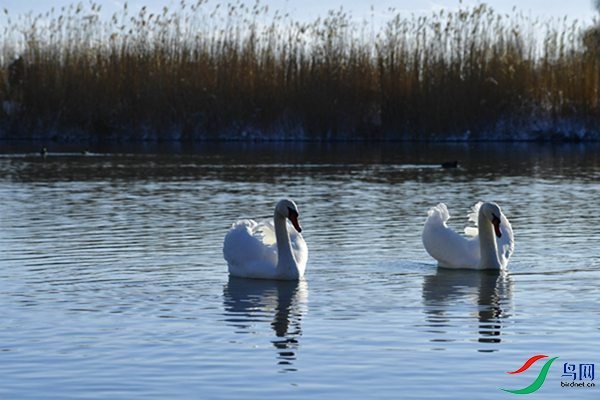 File0000079322.jpg