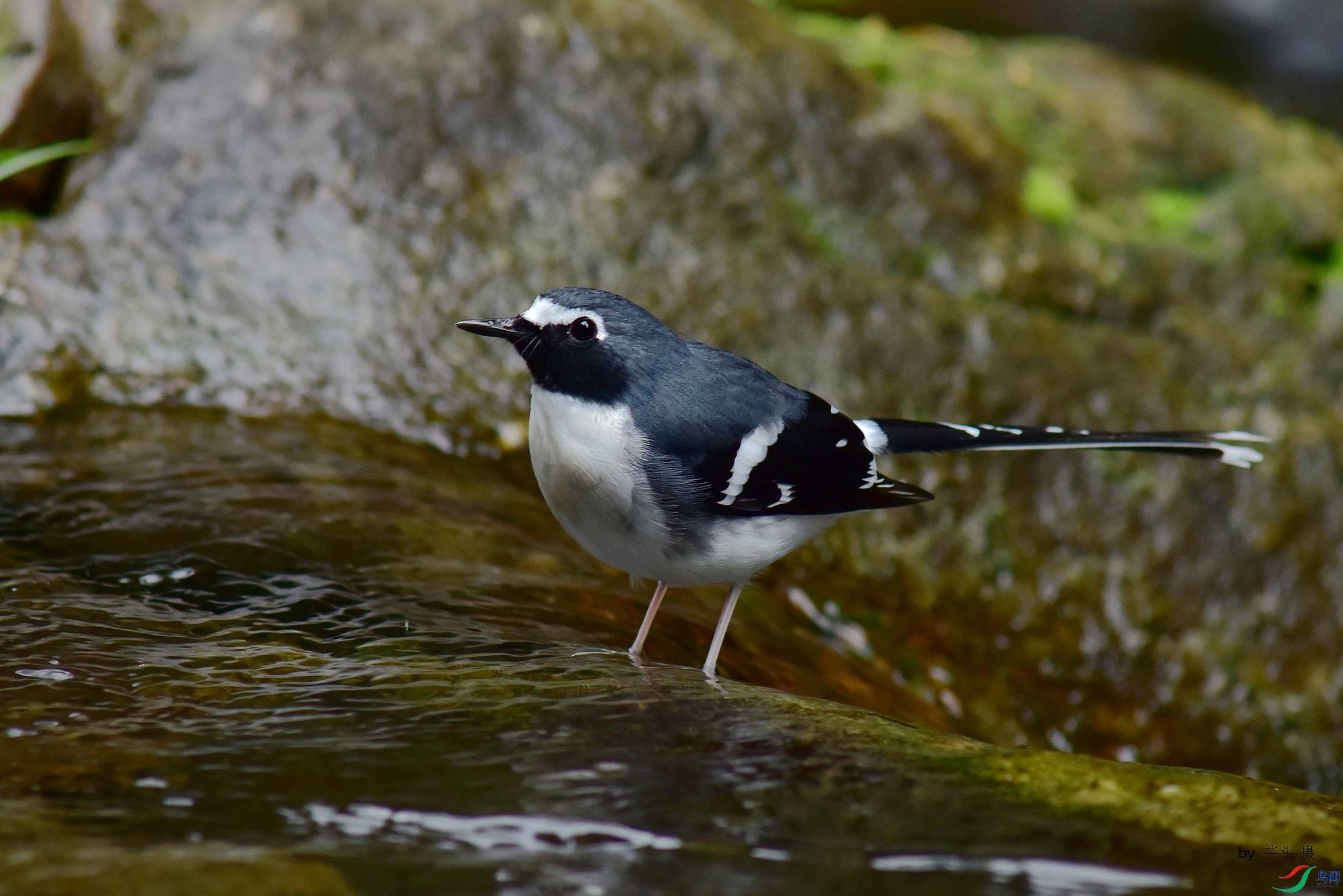D8I_7898.jpg
