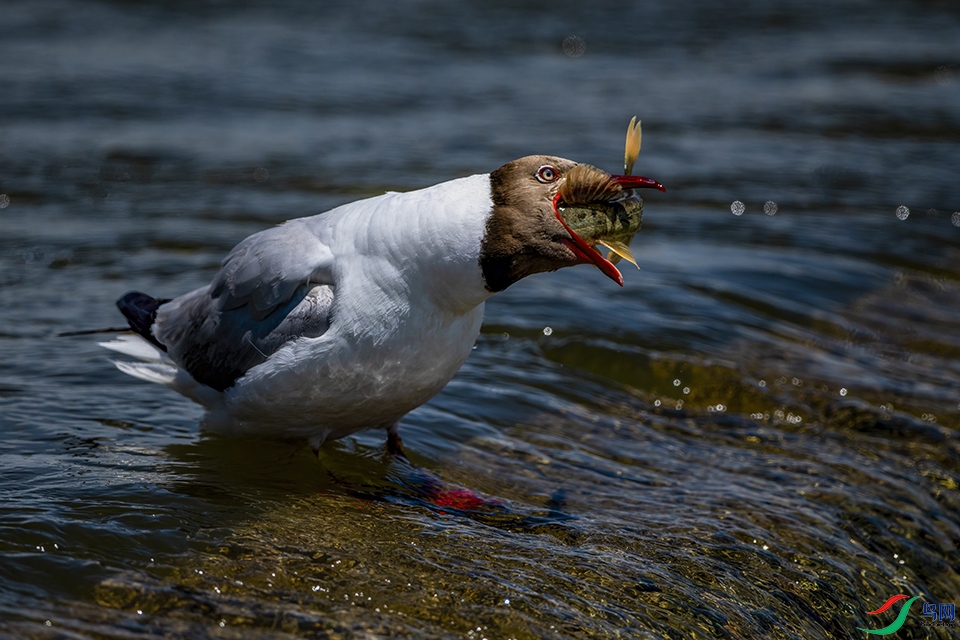 DSC_8465.jpg