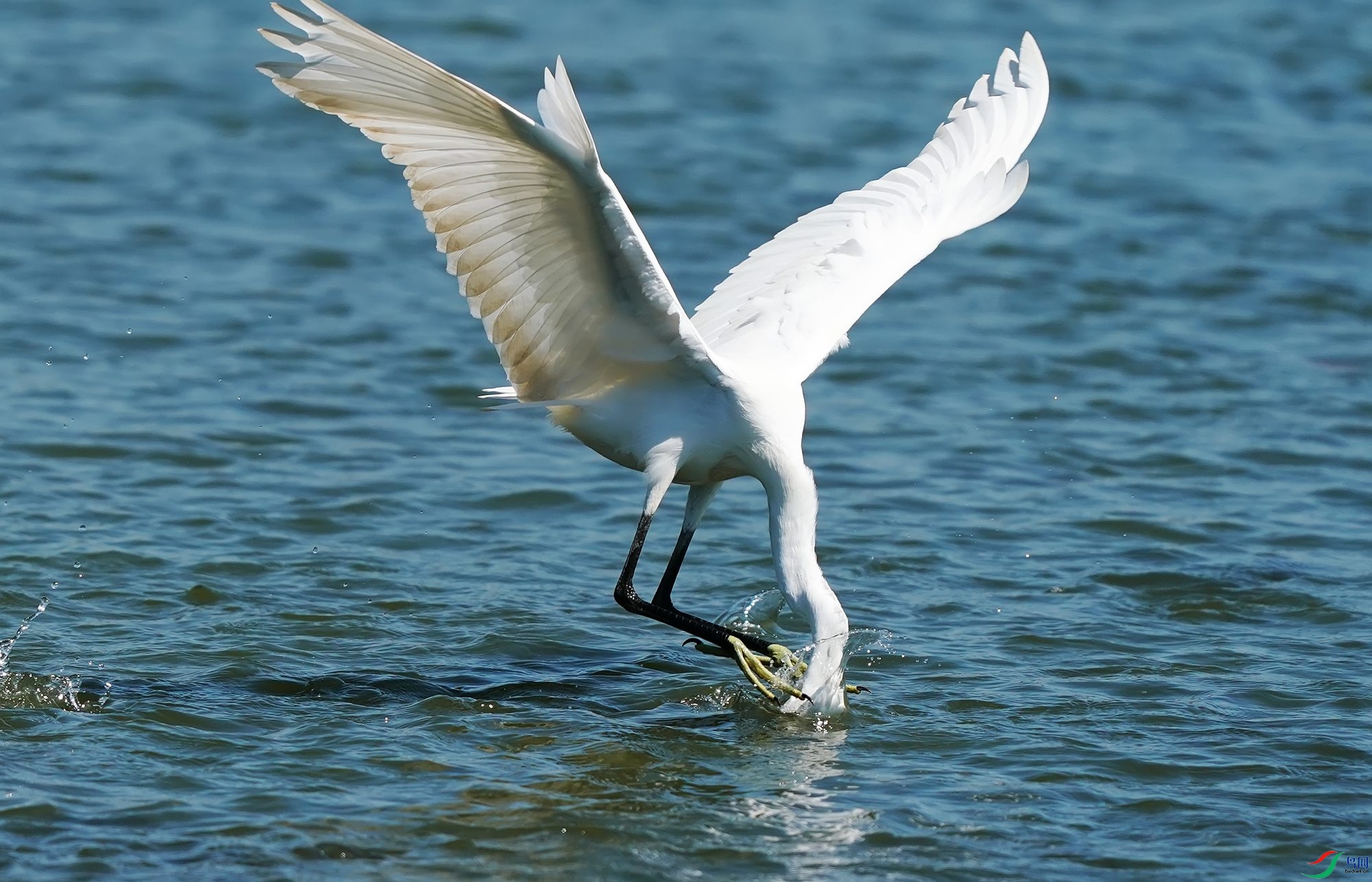 2637 (8)_����.jpg