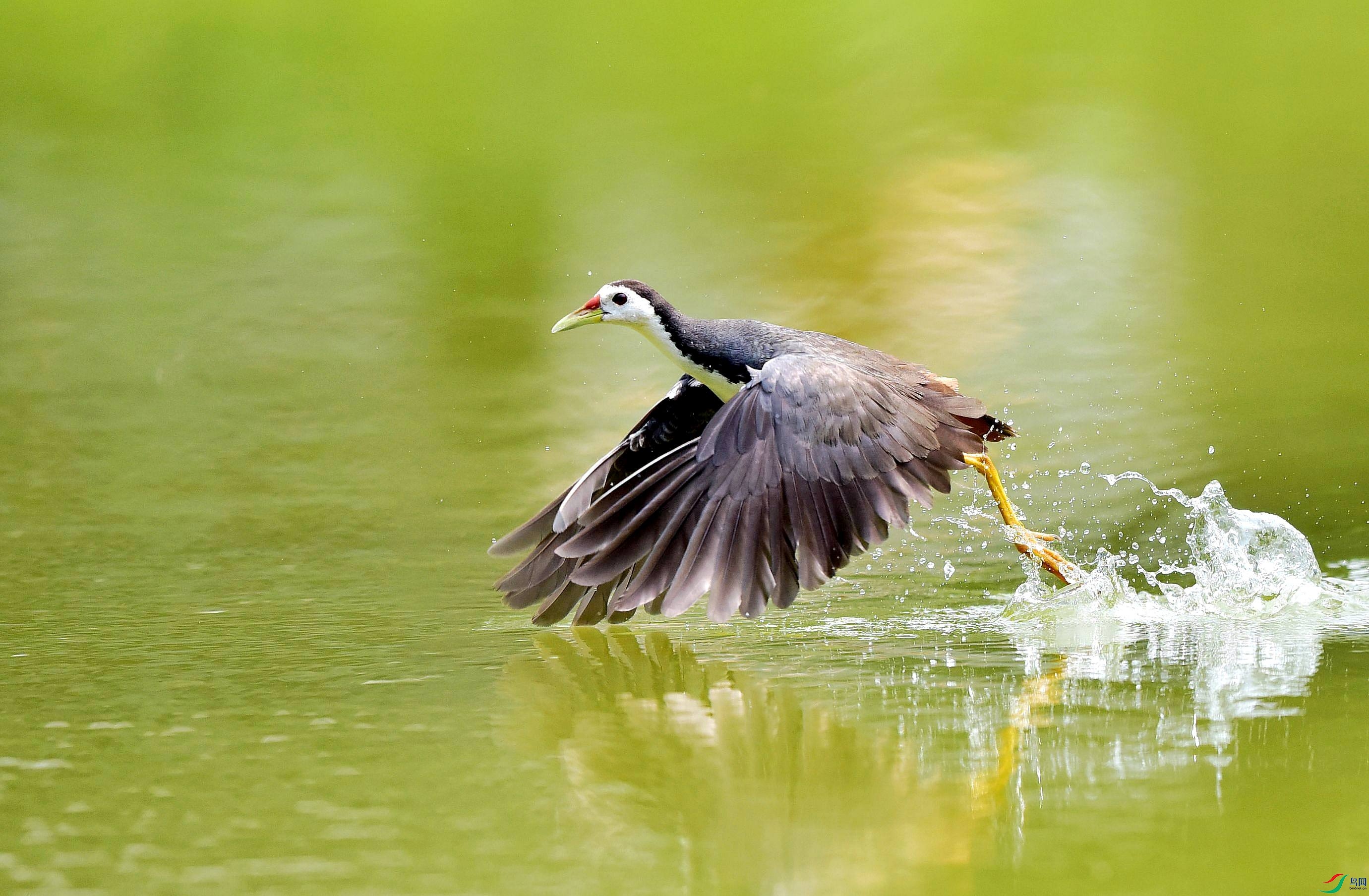 DSC_3127_conew7.jpg