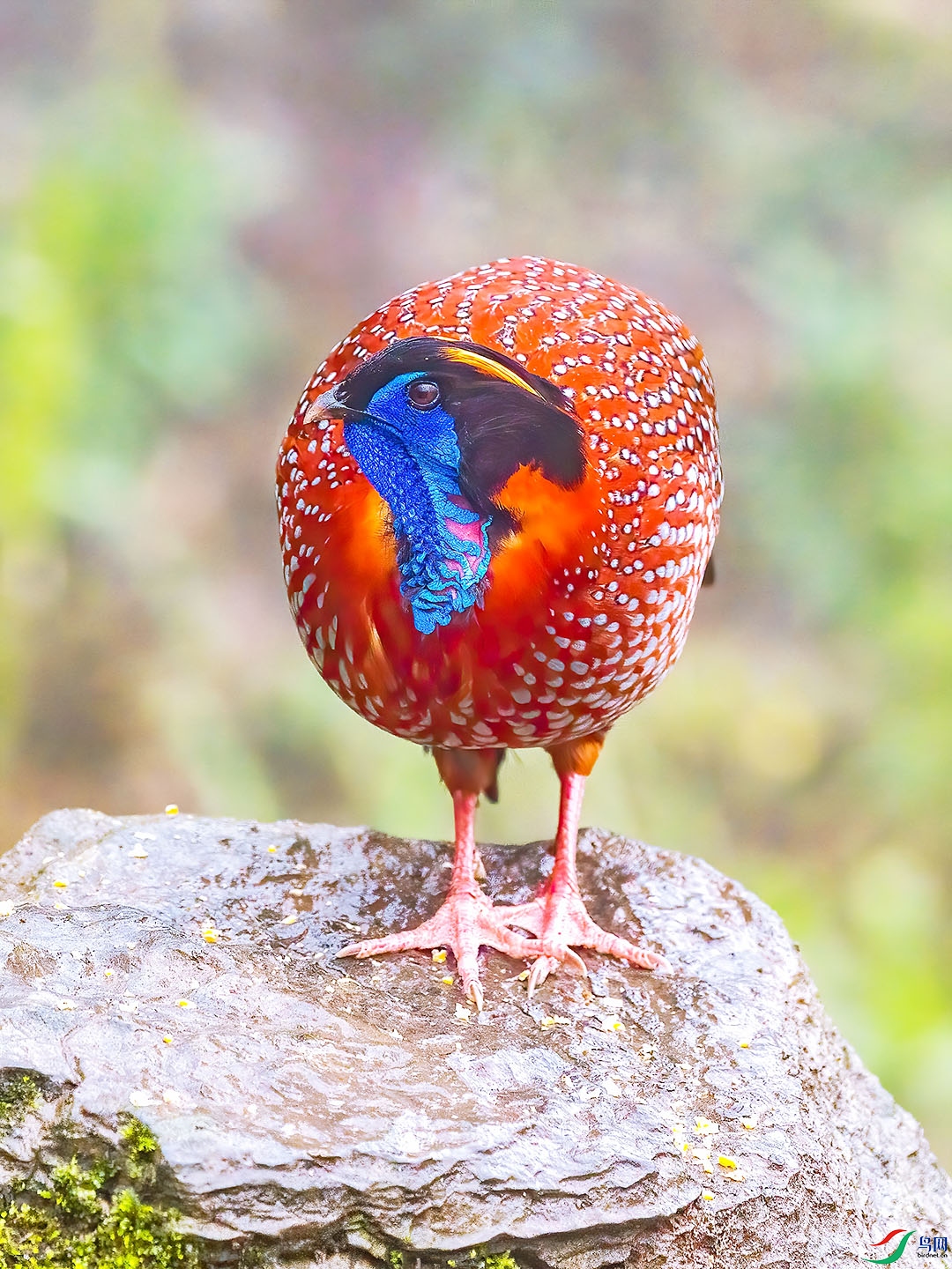 D5W_8061-1.jpg
