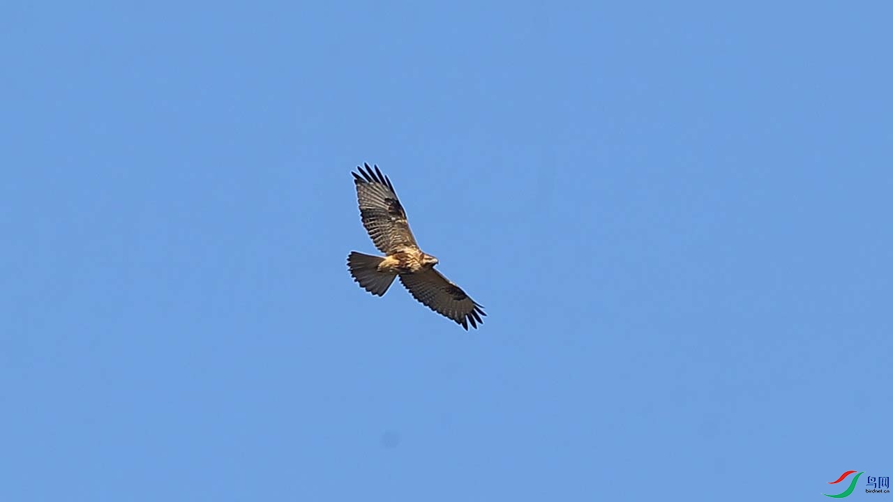 AK2I6711.JPG