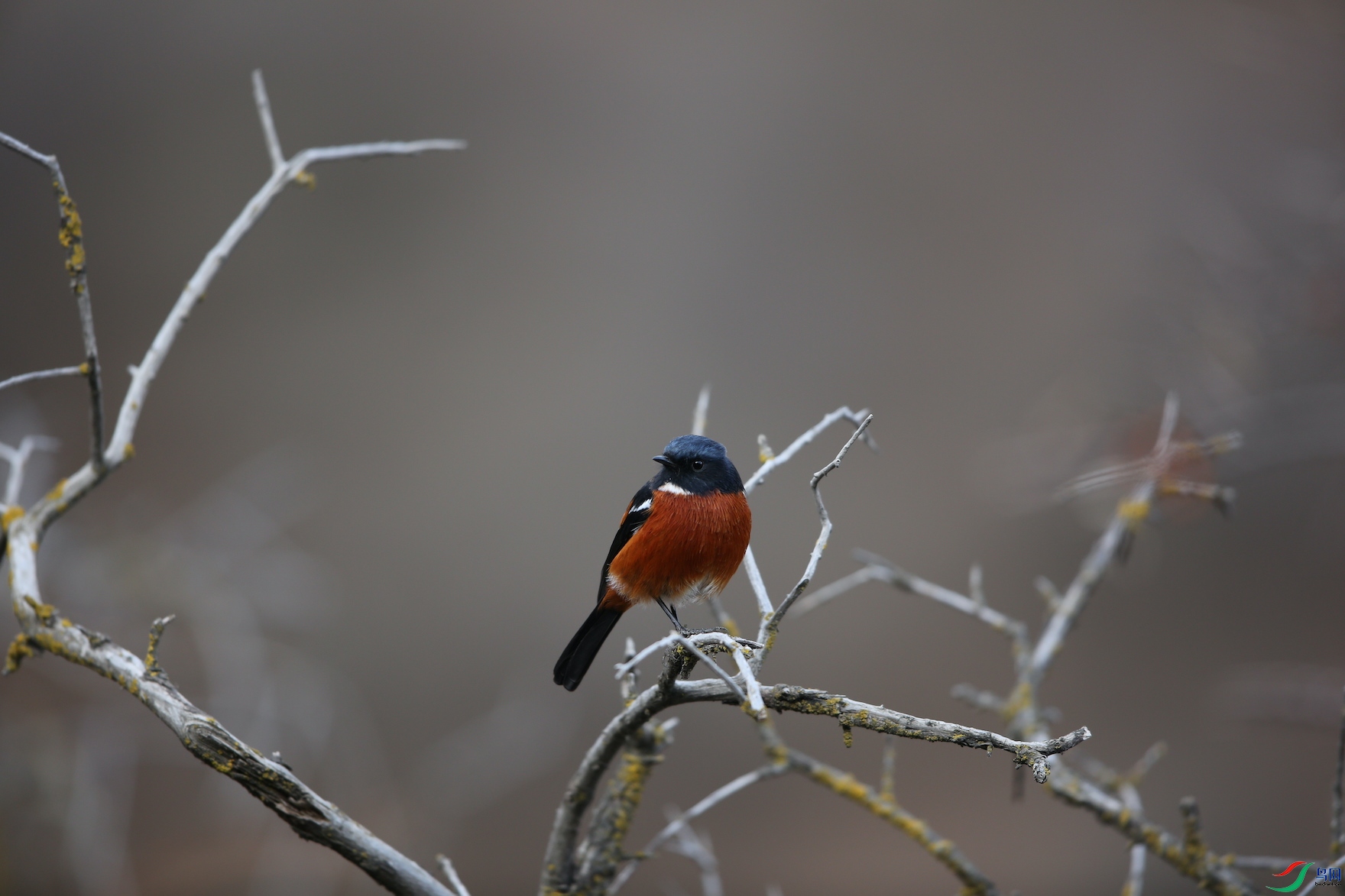 �׺���β� (��).JPG