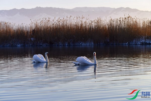 File0000079421.jpg