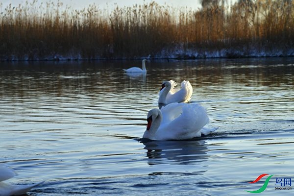 File0000079406.jpg