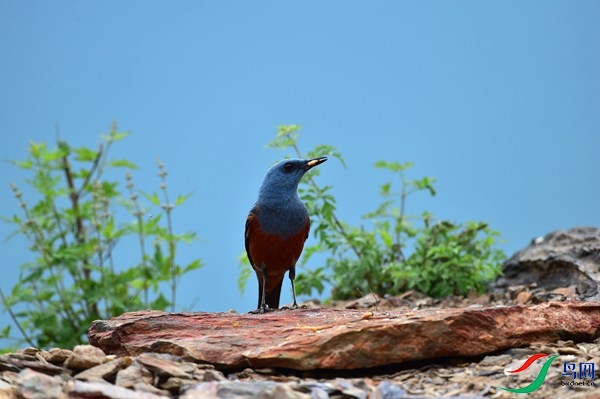 File0000051702.jpg