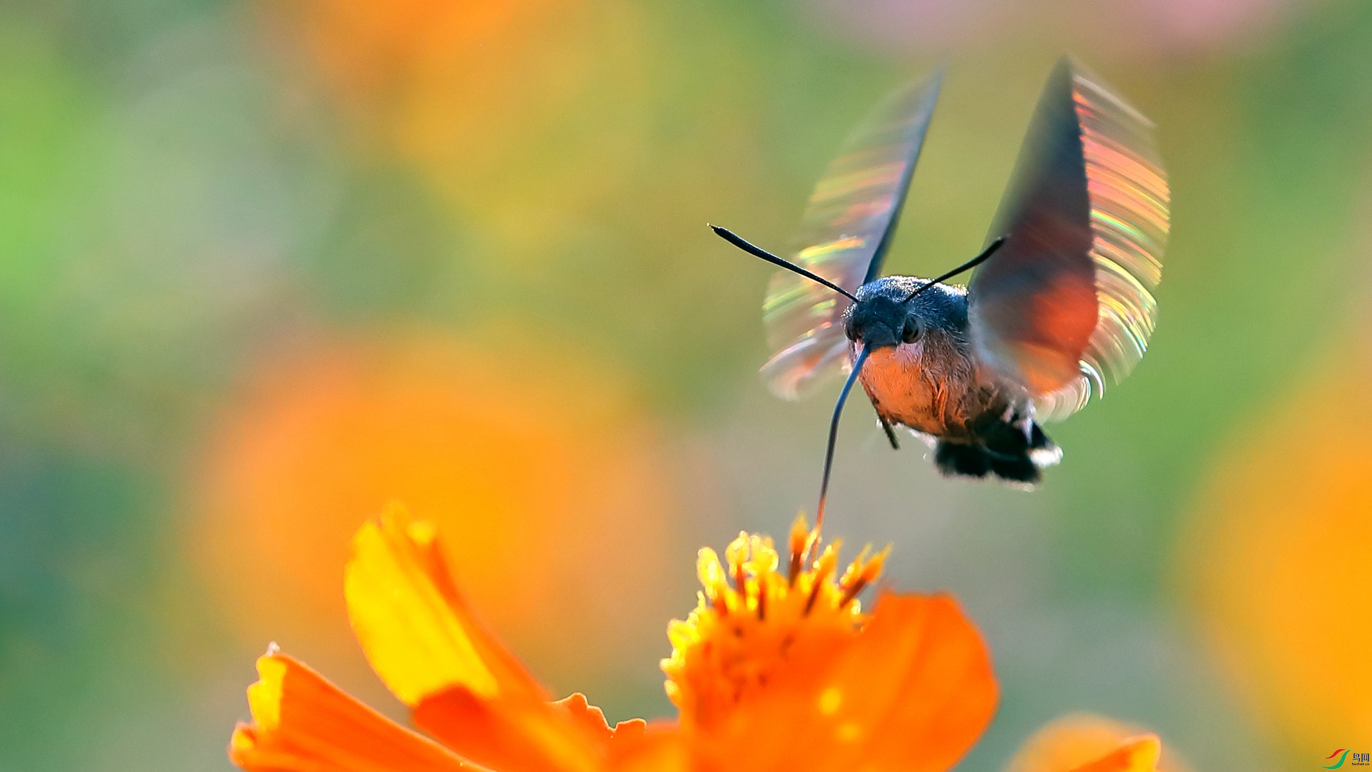 ��ɫ9 ������ �޸�_����_����_����.jpg