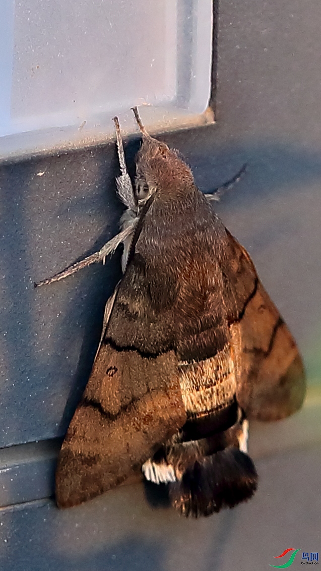 B11I7042_����.jpg