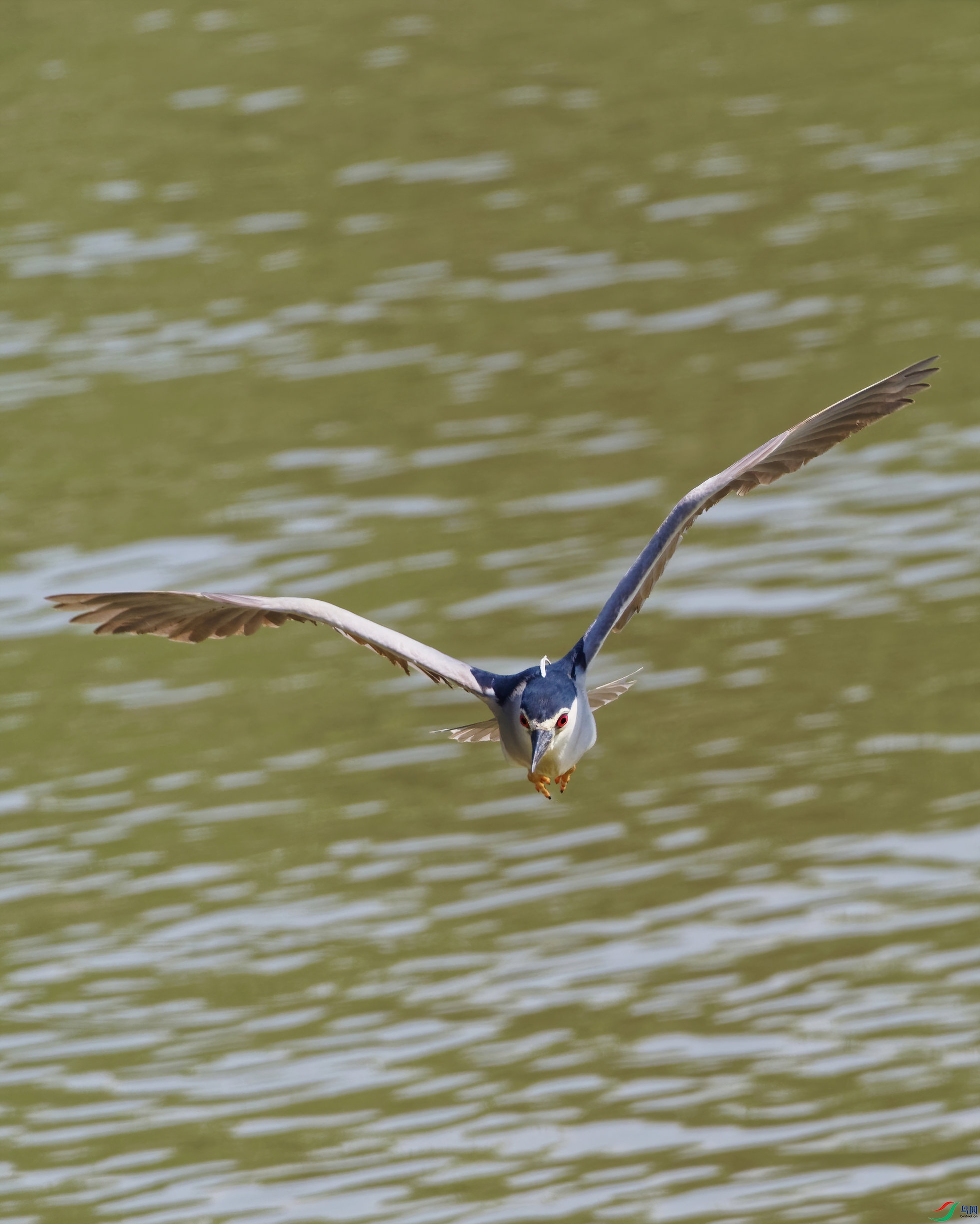 P7250569_DxO-sd2.jpg