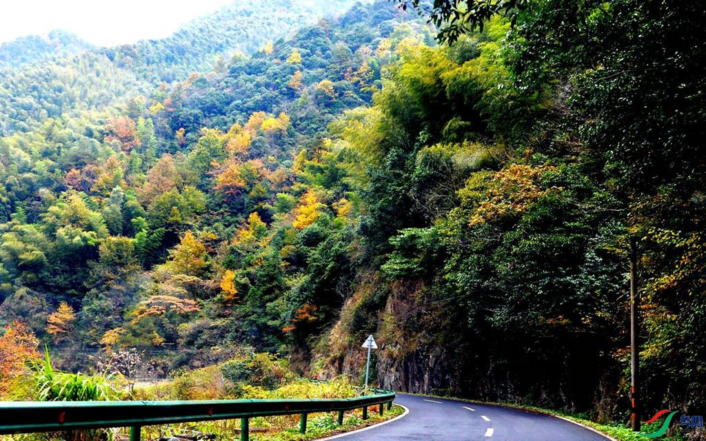 200 (246)_����_����.jpg