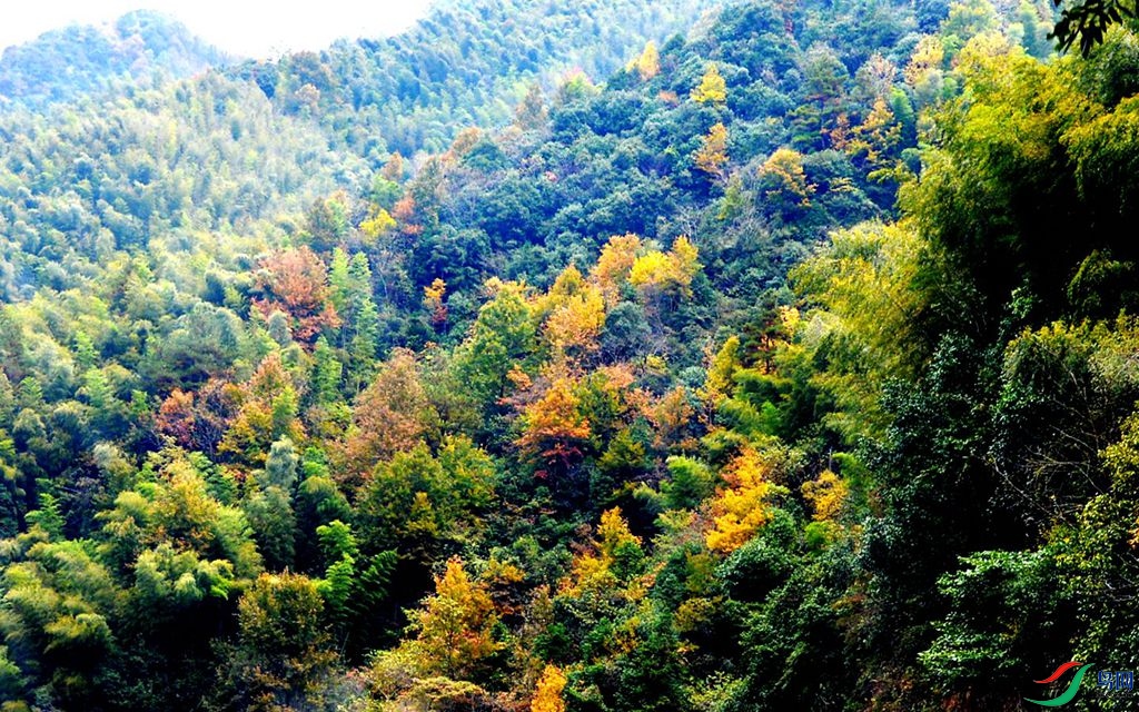 200 (247)_����.jpg