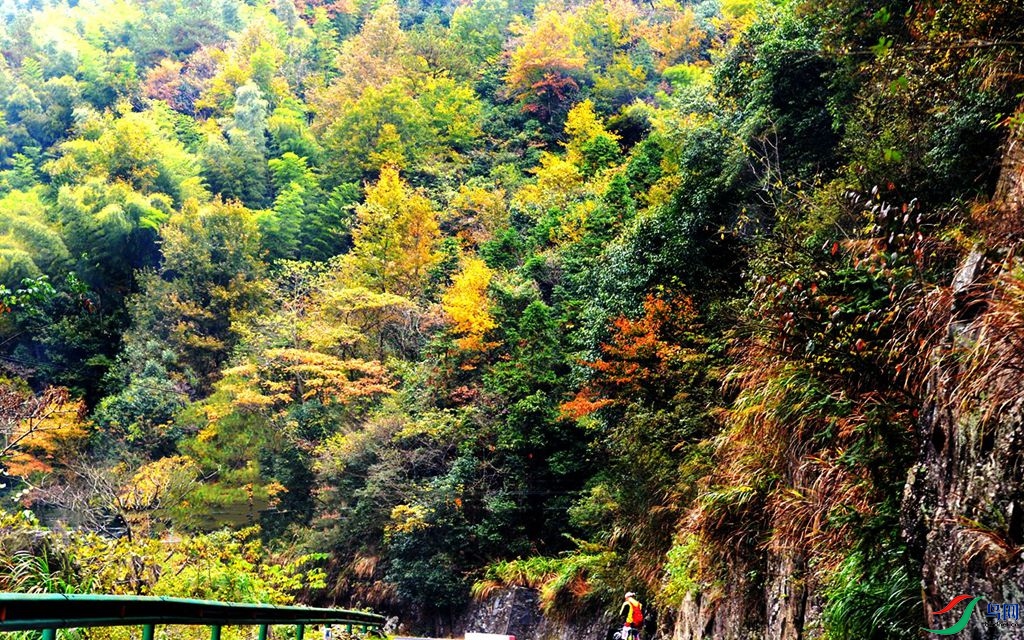 200 (248)_����_����_����.jpg