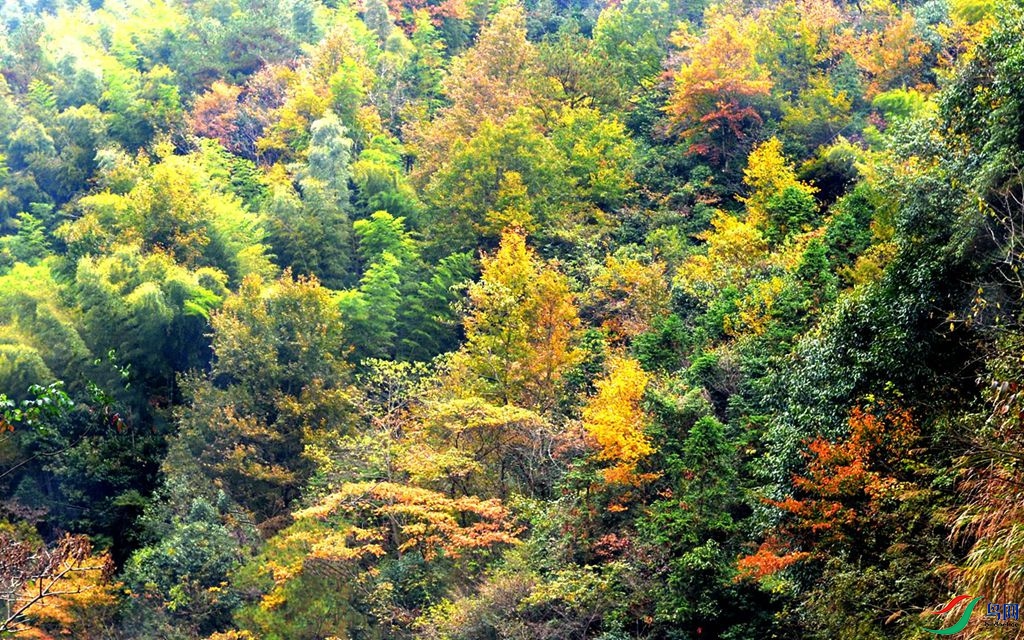 200 (249)_����_����.jpg