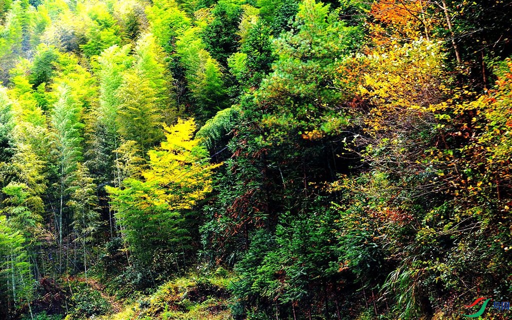 200 (250)_����_����.jpg